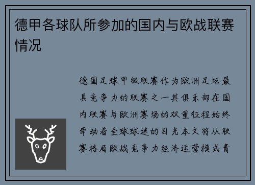德甲各球队所参加的国内与欧战联赛情况