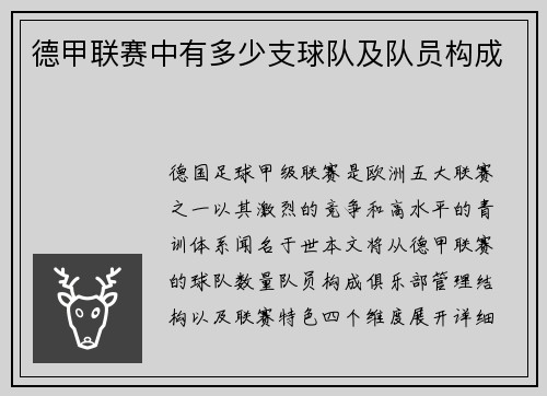 德甲联赛中有多少支球队及队员构成